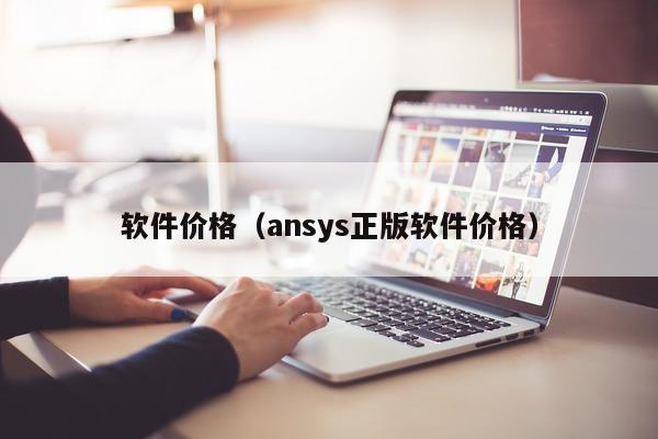 软件价格（ansys正版软件价格）