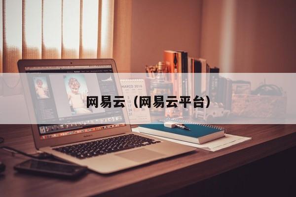 网易云（网易云平台）