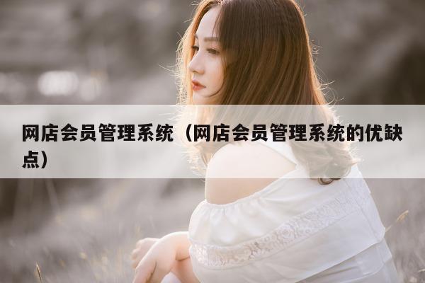 网店系统的优缺点）