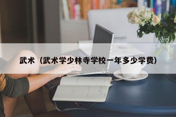 武术（武术学少林寺学校一年多少学费）