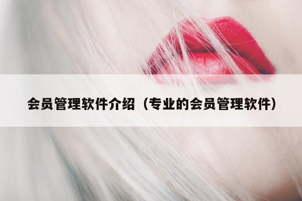 软件）