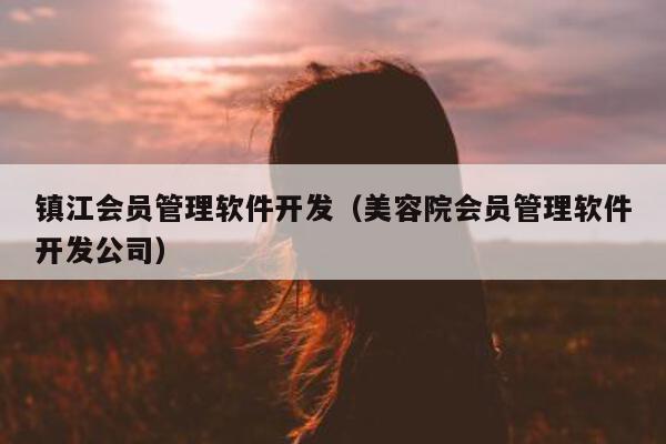 镇江软件开发公司）