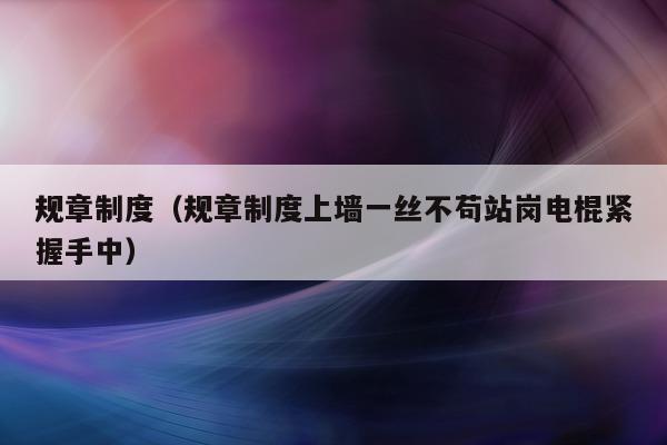 规章制度（规章制度上墙一丝不苟站岗电棍紧握手中）