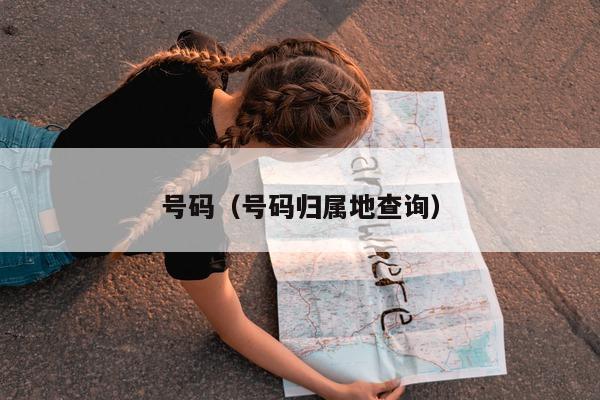 号码（号码归属地查询）