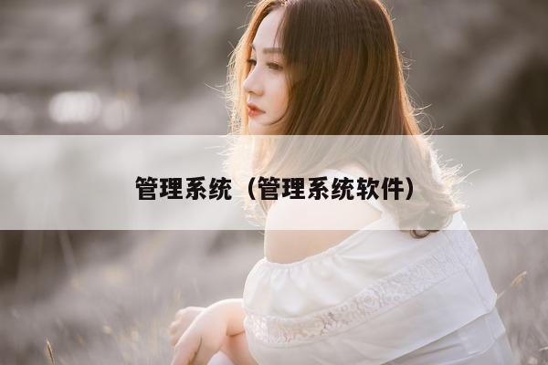 管理系统（管理系统软件）