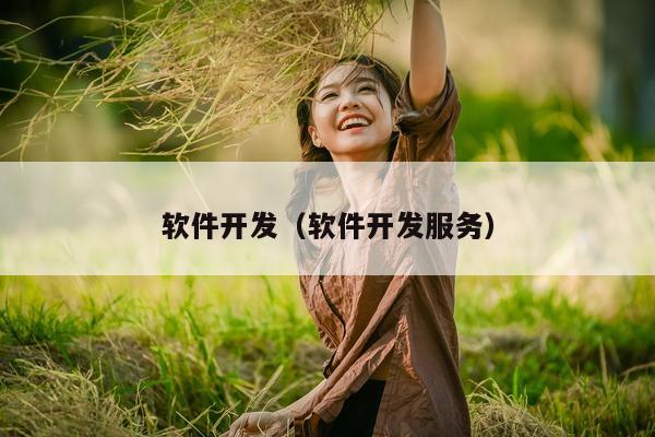 软件开发（软件开发服务）
