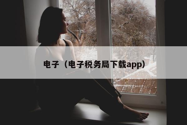 电子（电子税务局下载app）