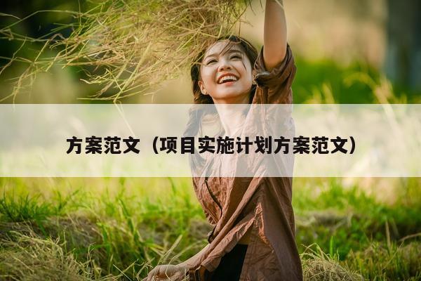 方案范文（项目实施计划方案范文）