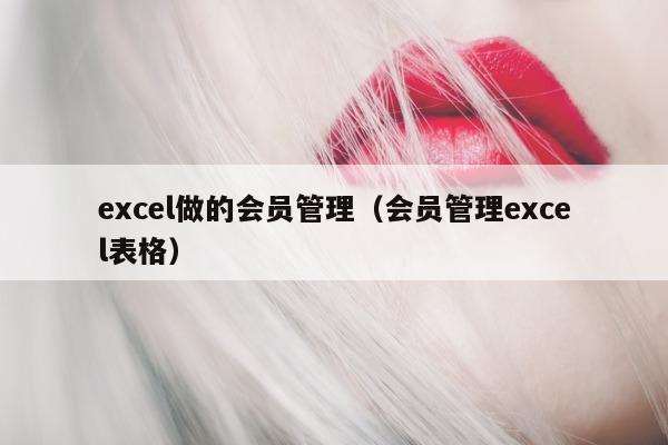 excel做的会员管理（会员管理excel表格）
