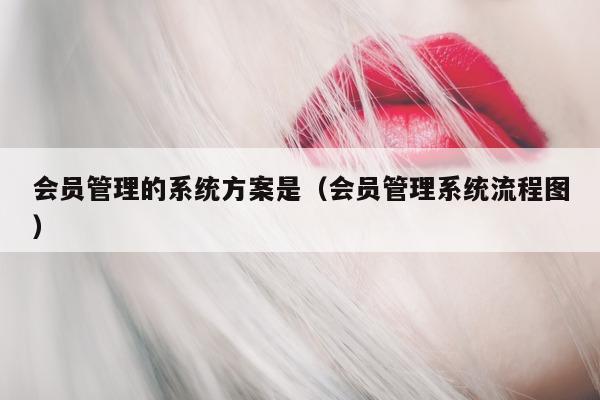 会员管理的系统方案是（会员管理系统流程图）